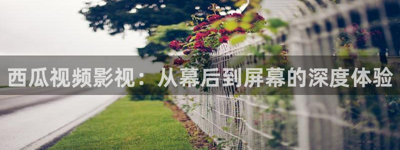 私人人影院