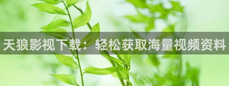 人人视频电视版