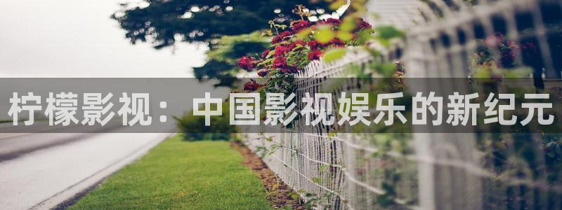 人人影视下载