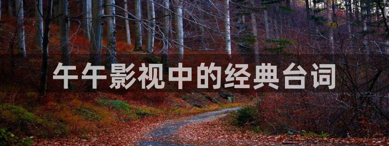 人人影音电脑版