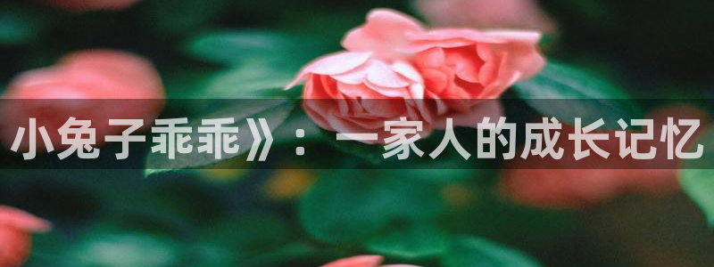 人人影院免费观看
