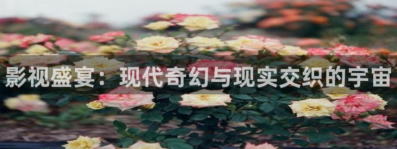 人人视频电视端