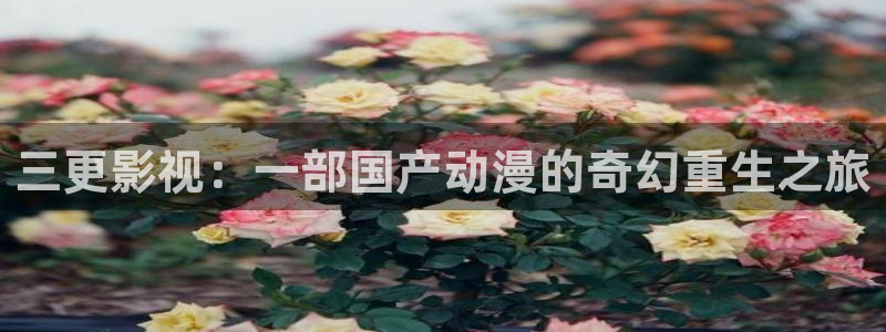 人人视频电脑版