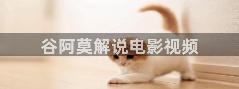 人人视频网