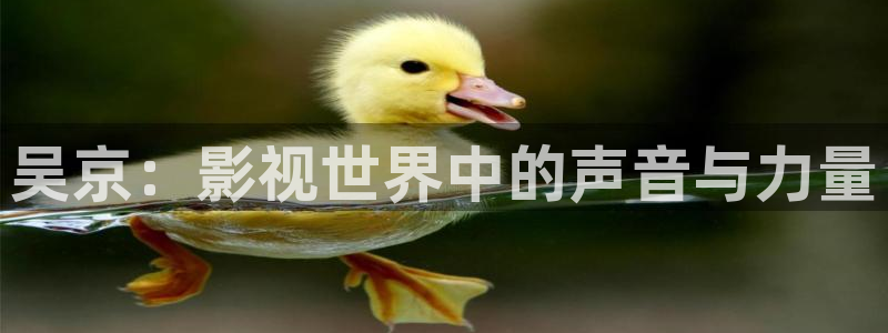 人人影视剧