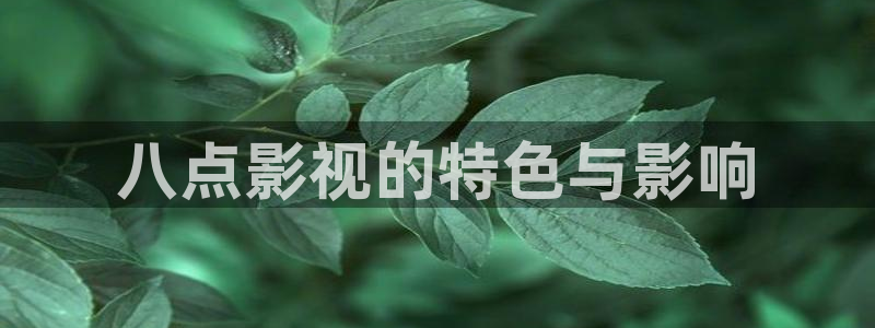 人人影音电脑版