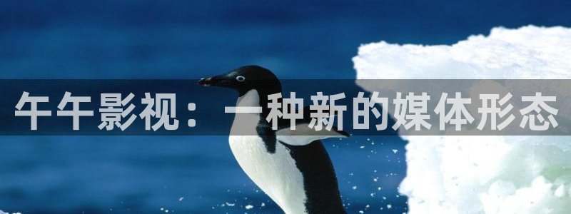 人人影音电脑版